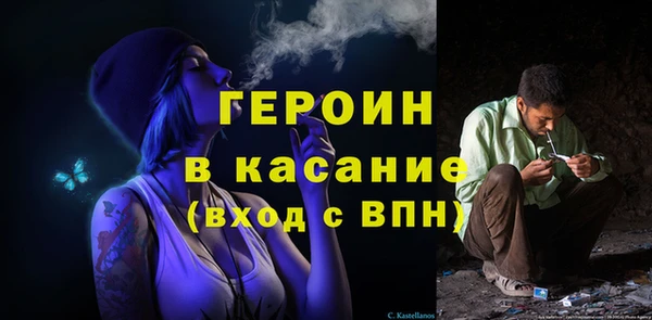 индика Беломорск