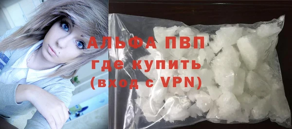 индика Беломорск