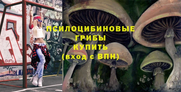 индика Беломорск
