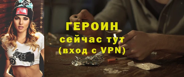 индика Беломорск