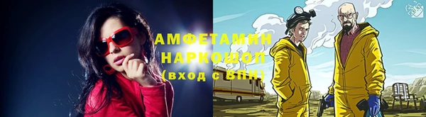 индика Беломорск