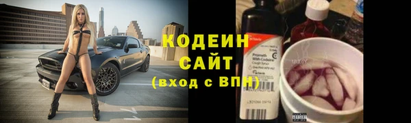 индика Беломорск