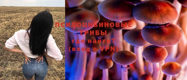 не бодяженный Белокуриха