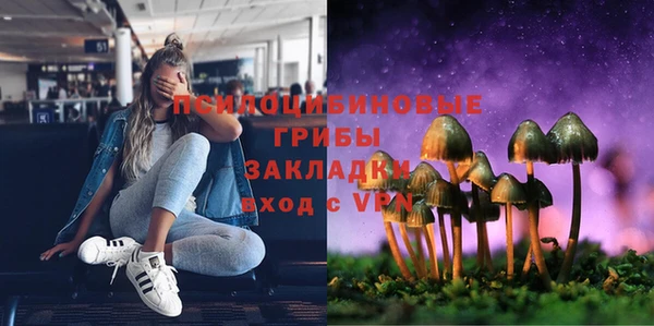не бодяженный Белокуриха