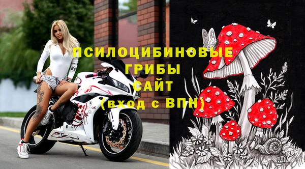 молекула духа Белоозёрский