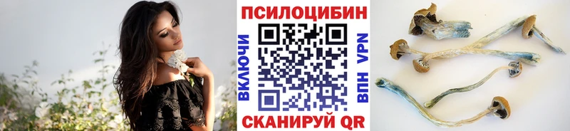 Псилоцибиновые грибы Psilocybe  цены наркотик  Костерёво 